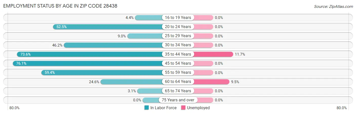 Employment Status by Age in Zip Code 28438