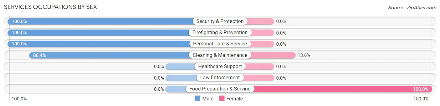 Services Occupations by Sex in Zip Code 28452