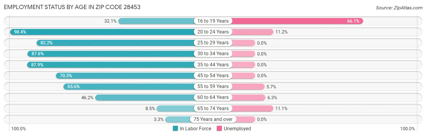 Employment Status by Age in Zip Code 28453