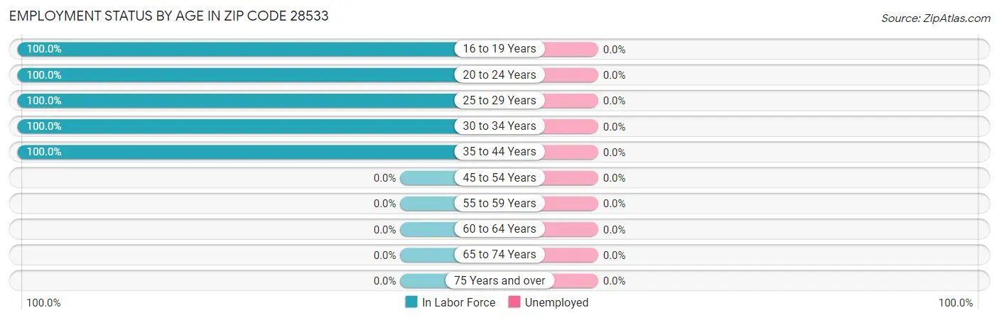 Employment Status by Age in Zip Code 28533