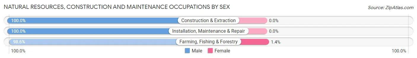 Natural Resources, Construction and Maintenance Occupations by Sex in Zip Code 28538
