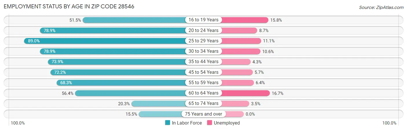 Employment Status by Age in Zip Code 28546