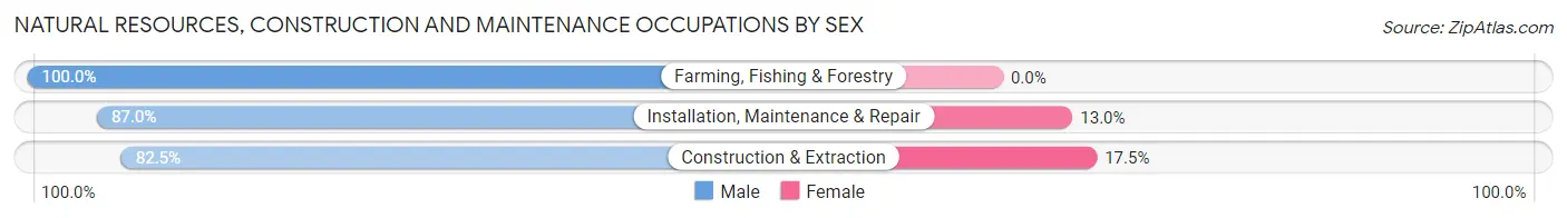 Natural Resources, Construction and Maintenance Occupations by Sex in Zip Code 28546
