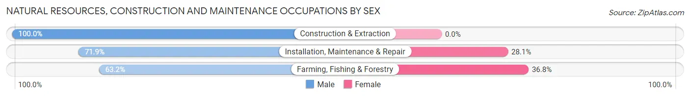 Natural Resources, Construction and Maintenance Occupations by Sex in Zip Code 28573