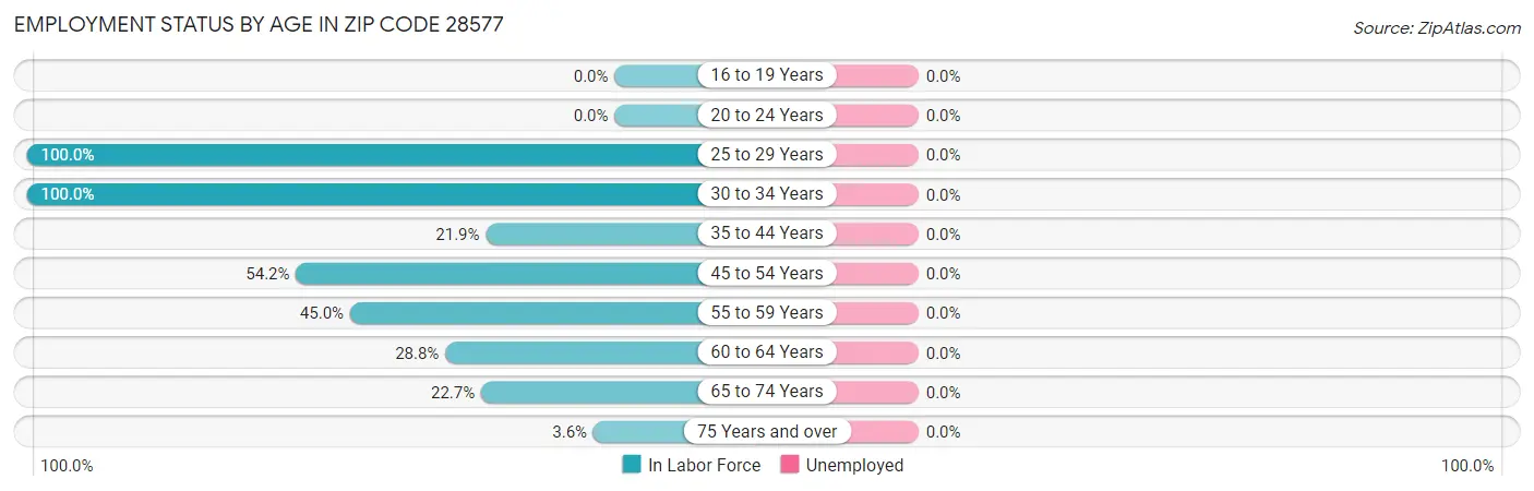 Employment Status by Age in Zip Code 28577