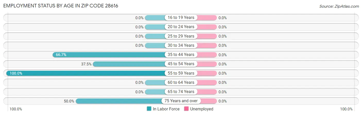 Employment Status by Age in Zip Code 28616