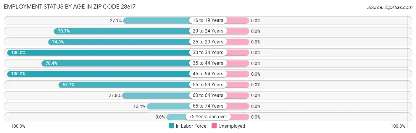 Employment Status by Age in Zip Code 28617
