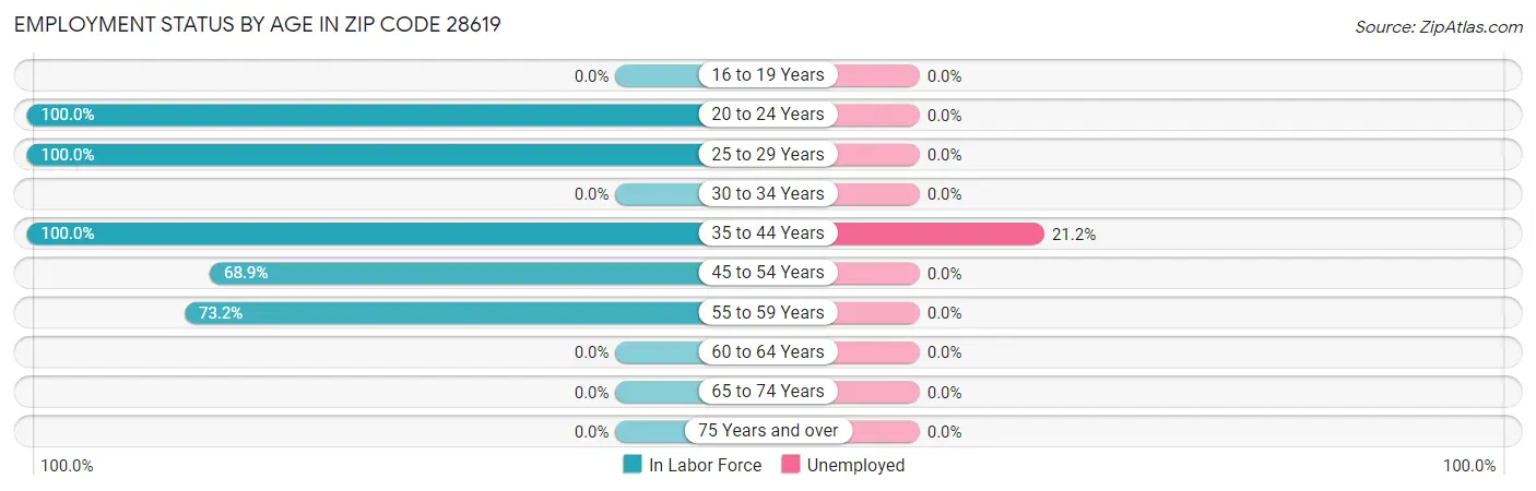 Employment Status by Age in Zip Code 28619