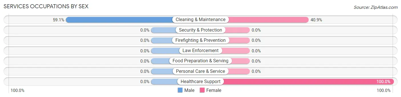 Services Occupations by Sex in Zip Code 28619