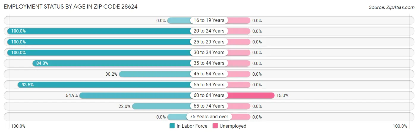 Employment Status by Age in Zip Code 28624