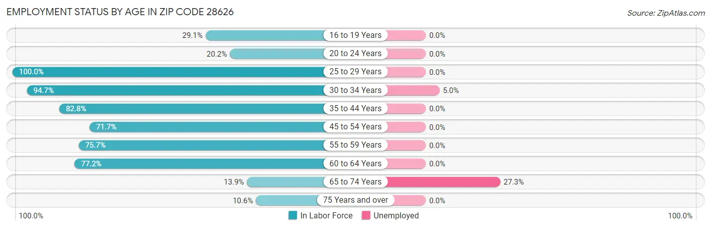 Employment Status by Age in Zip Code 28626