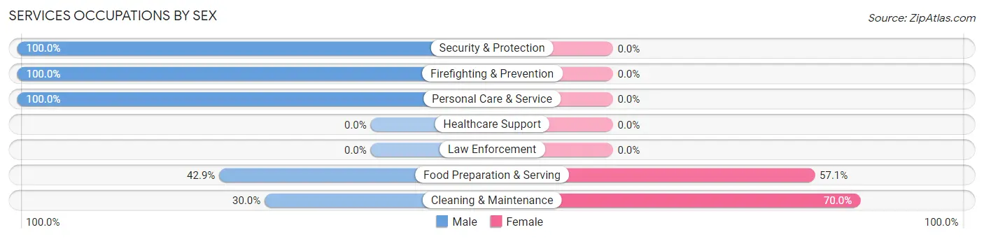 Services Occupations by Sex in Zip Code 28637