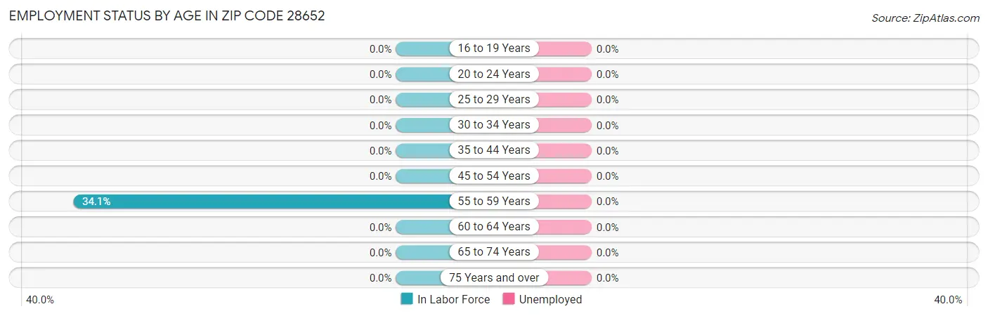 Employment Status by Age in Zip Code 28652