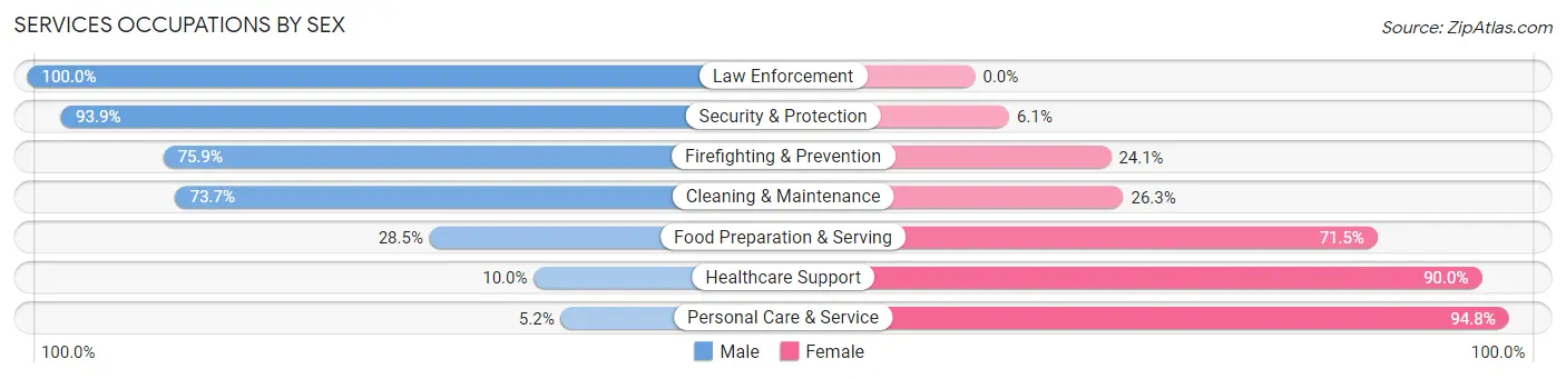 Services Occupations by Sex in Zip Code 28658