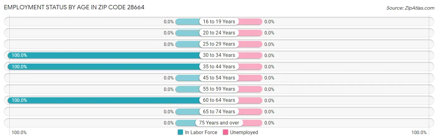 Employment Status by Age in Zip Code 28664