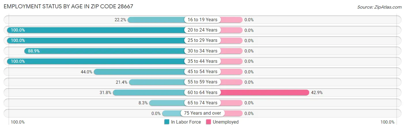 Employment Status by Age in Zip Code 28667