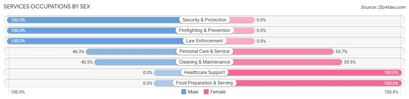 Services Occupations by Sex in Zip Code 28676