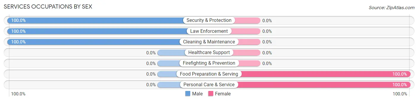 Services Occupations by Sex in Zip Code 28679