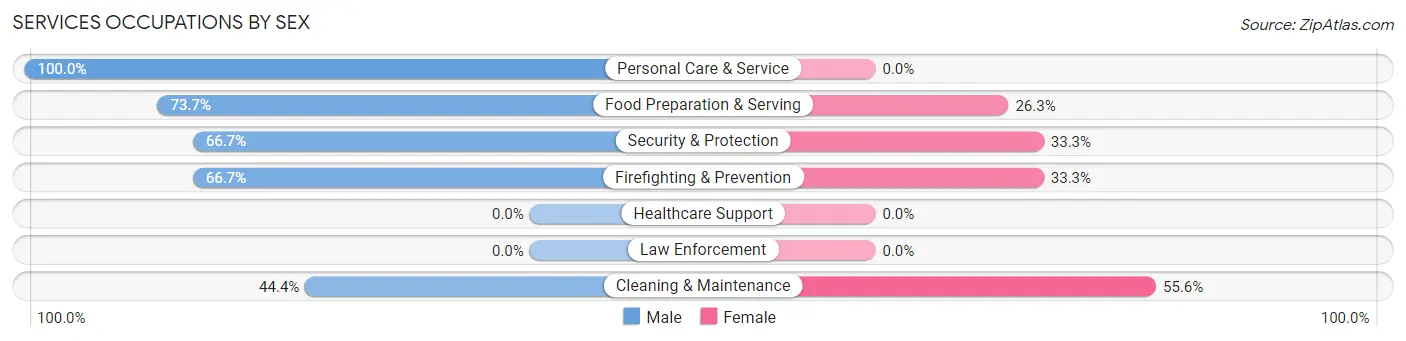 Services Occupations by Sex in Zip Code 28684