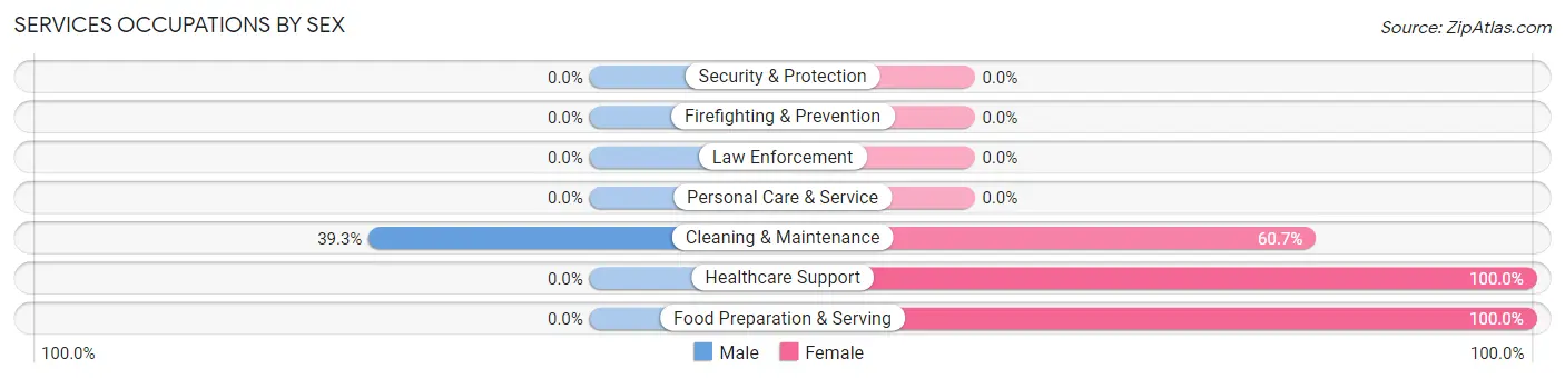Services Occupations by Sex in Zip Code 28693