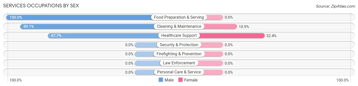 Services Occupations by Sex in Zip Code 28698
