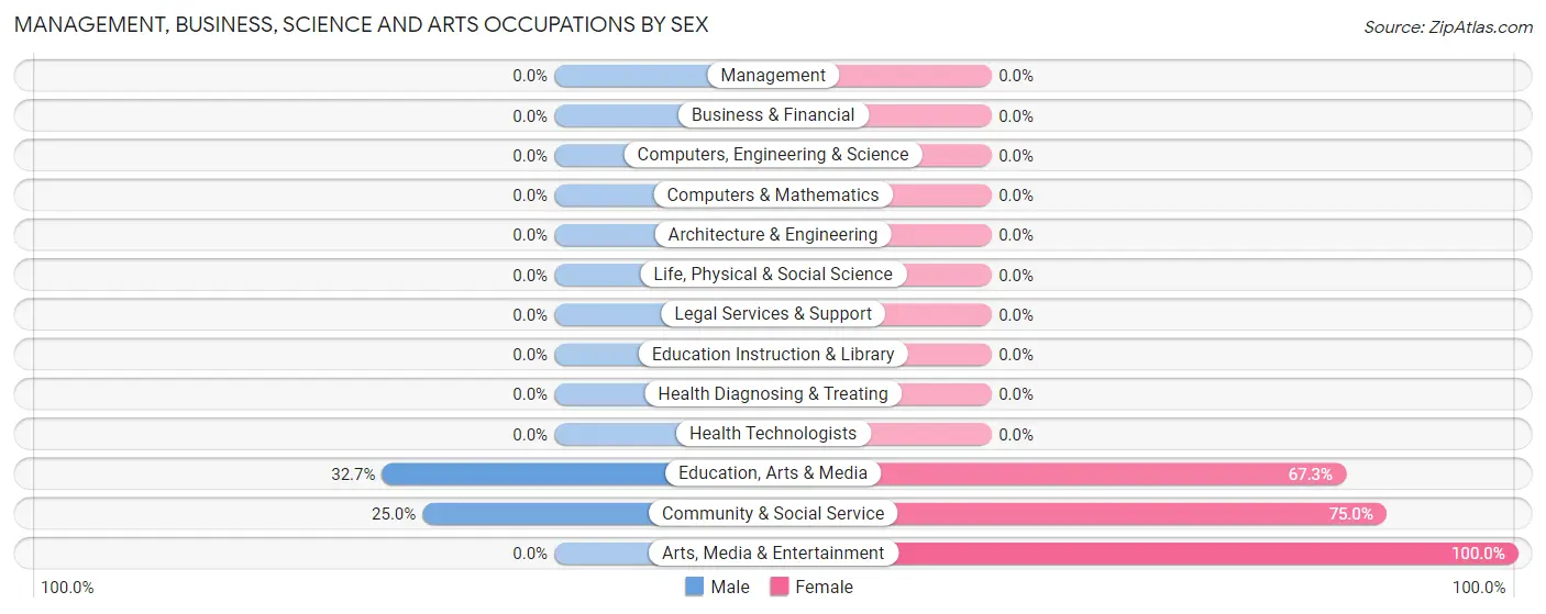 Management, Business, Science and Arts Occupations by Sex in Zip Code 28707
