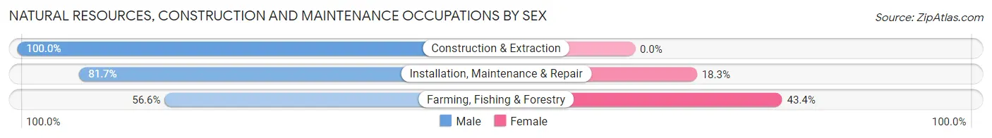 Natural Resources, Construction and Maintenance Occupations by Sex in Zip Code 28712