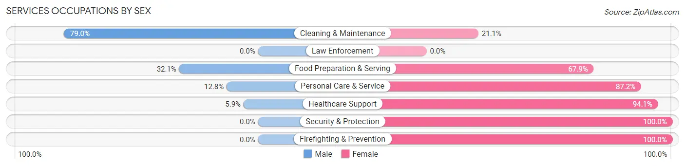 Services Occupations by Sex in Zip Code 28722