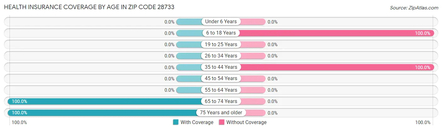 Health Insurance Coverage by Age in Zip Code 28733