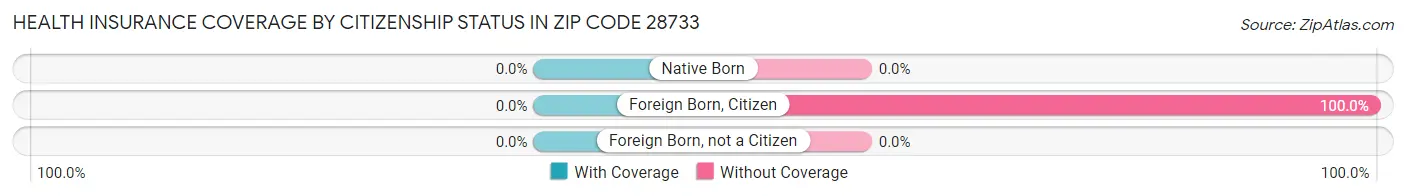 Health Insurance Coverage by Citizenship Status in Zip Code 28733