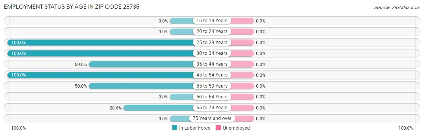 Employment Status by Age in Zip Code 28735