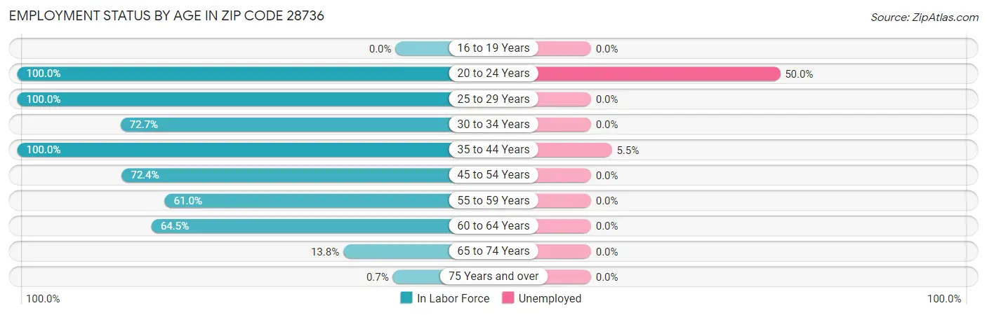 Employment Status by Age in Zip Code 28736