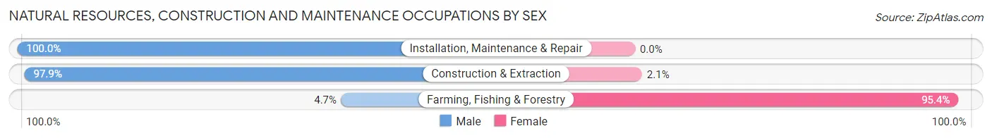 Natural Resources, Construction and Maintenance Occupations by Sex in Zip Code 28739