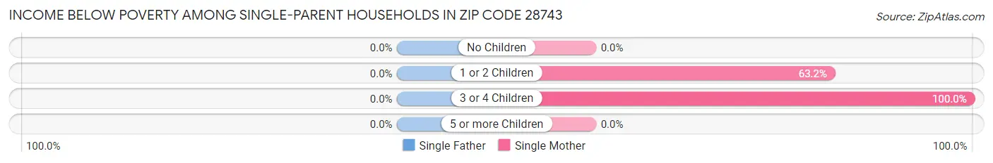 Income Below Poverty Among Single-Parent Households in Zip Code 28743