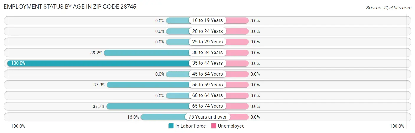 Employment Status by Age in Zip Code 28745