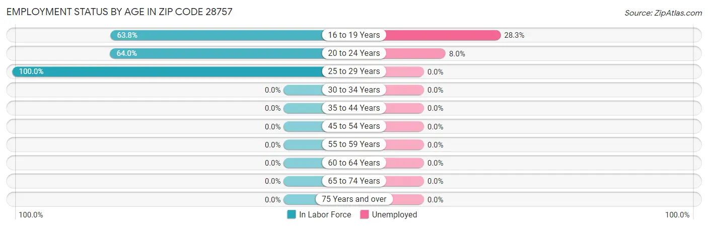 Employment Status by Age in Zip Code 28757
