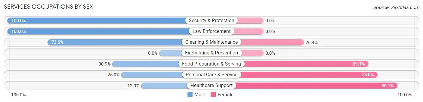 Services Occupations by Sex in Zip Code 28782