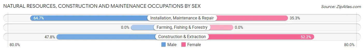 Natural Resources, Construction and Maintenance Occupations by Sex in Zip Code 29003