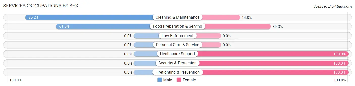 Services Occupations by Sex in Zip Code 29048