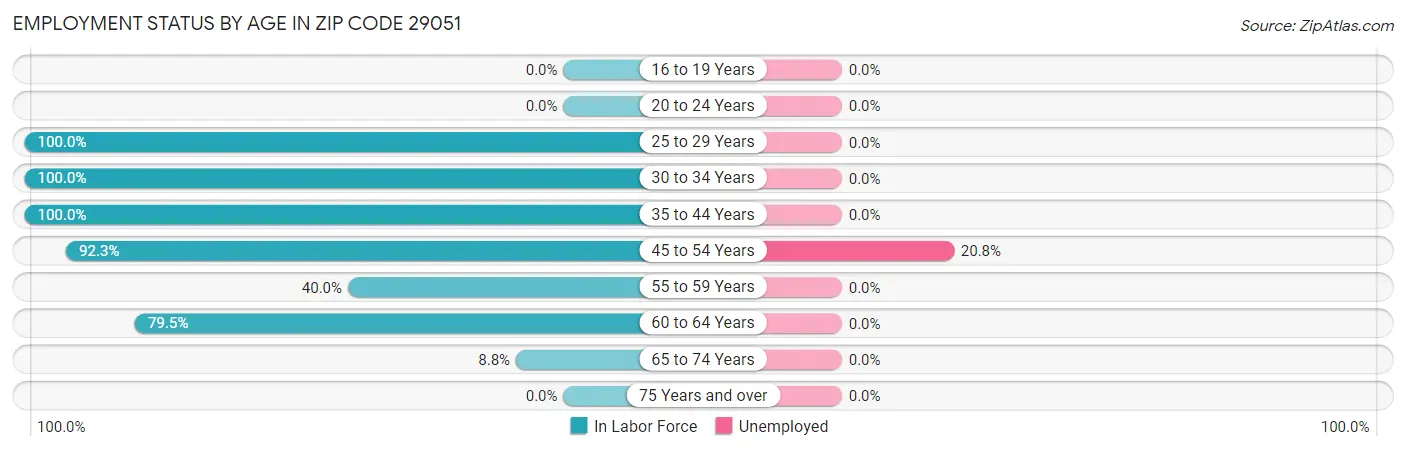 Employment Status by Age in Zip Code 29051
