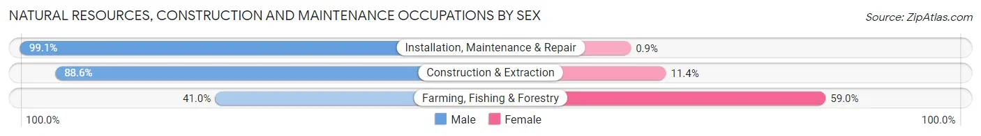 Natural Resources, Construction and Maintenance Occupations by Sex in Zip Code 29053