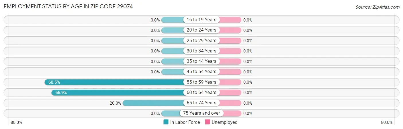 Employment Status by Age in Zip Code 29074