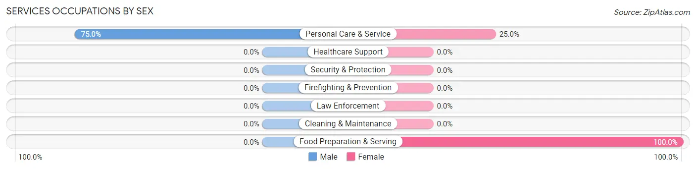 Services Occupations by Sex in Zip Code 29117