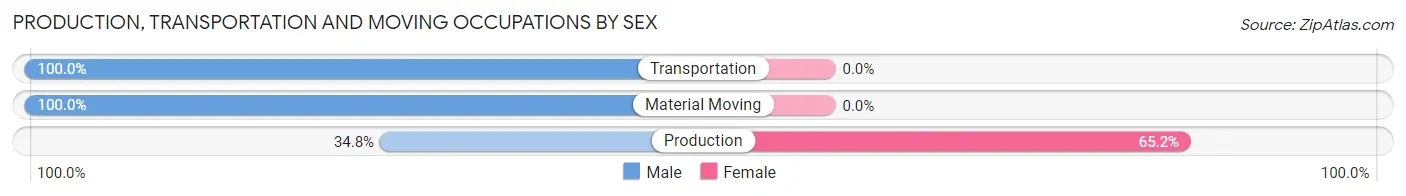 Production, Transportation and Moving Occupations by Sex in Zip Code 29142