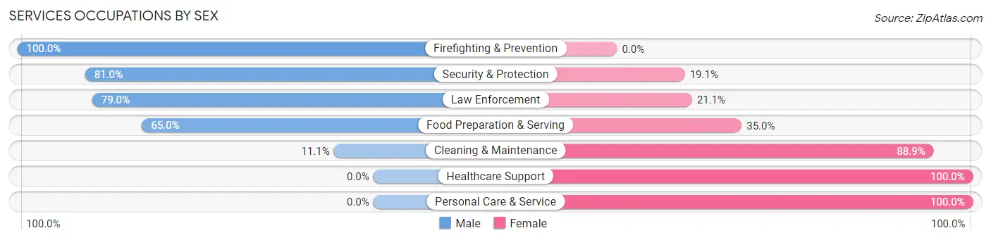 Services Occupations by Sex in Zip Code 29148