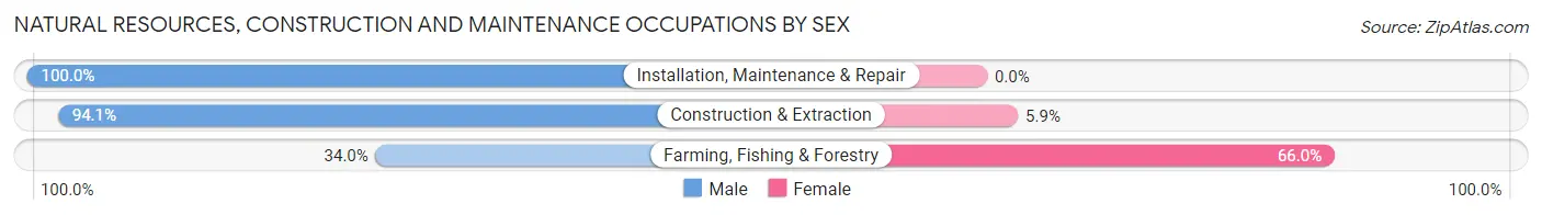 Natural Resources, Construction and Maintenance Occupations by Sex in Zip Code 29150