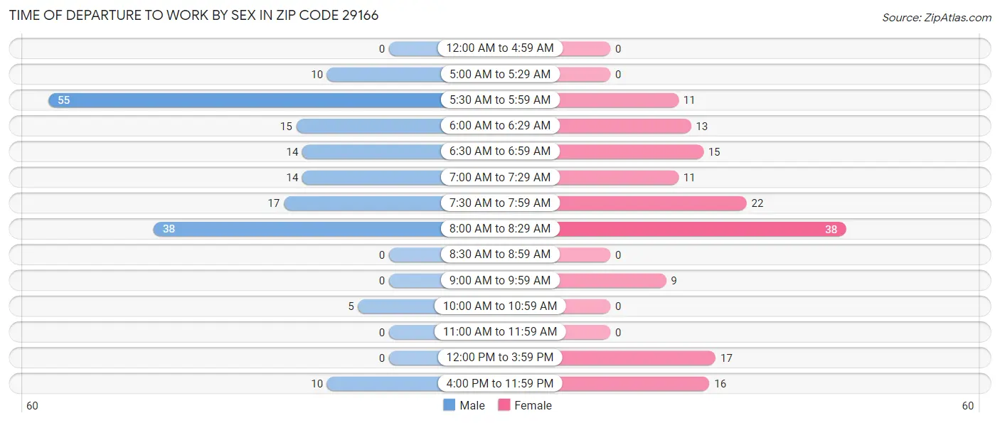 Time of Departure to Work by Sex in Zip Code 29166