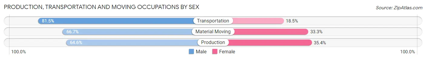 Production, Transportation and Moving Occupations by Sex in Zip Code 29172