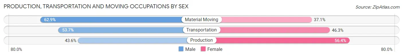 Production, Transportation and Moving Occupations by Sex in Zip Code 29180