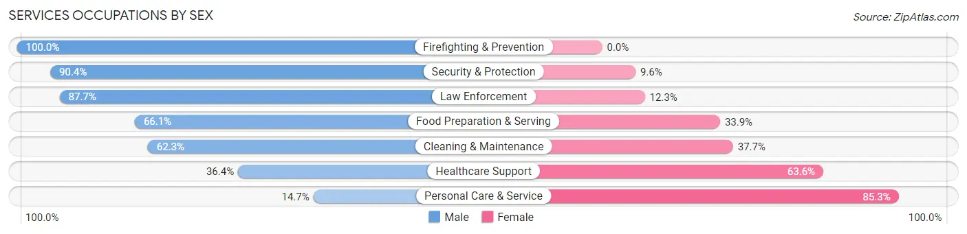 Services Occupations by Sex in Zip Code 29206